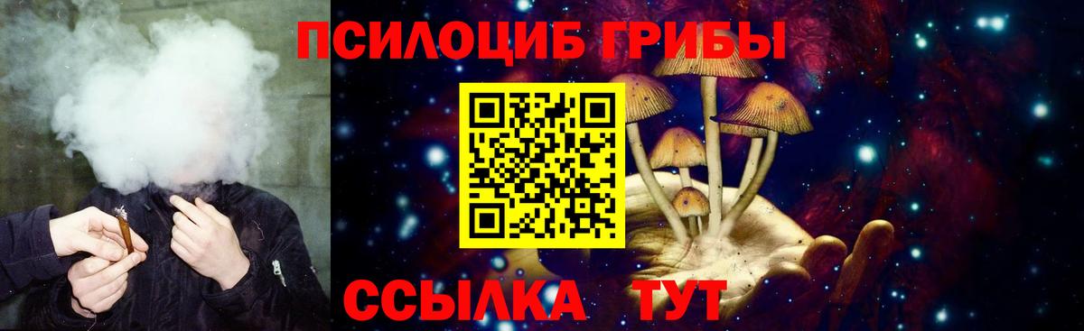 купить  цена  Вход с VPN  Королёв  Галлюциногенные грибы Psilocybine cubensis 
